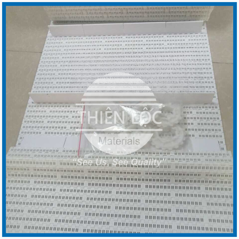 Băng tải nhựa, băng tải xích nhựa (Modular Belt)