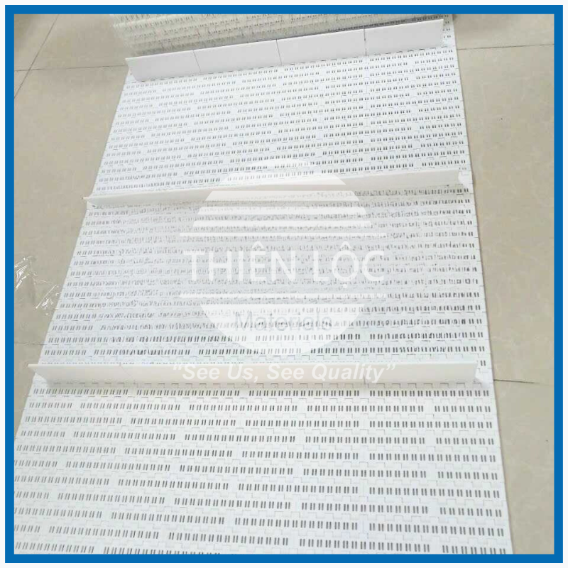 Băng Tải Xích Nhựa